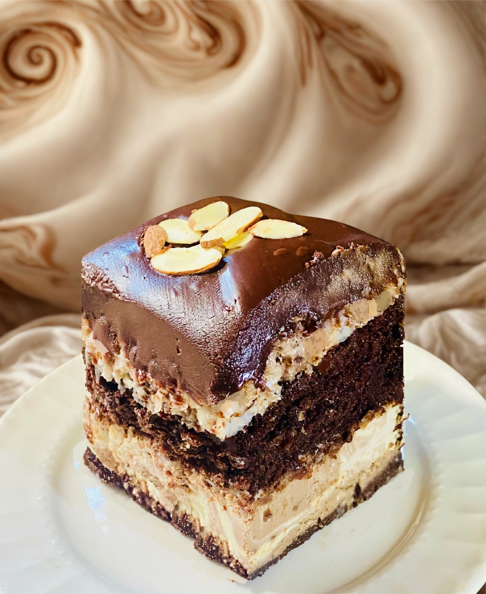 Chocolate Coconut Cheesecake