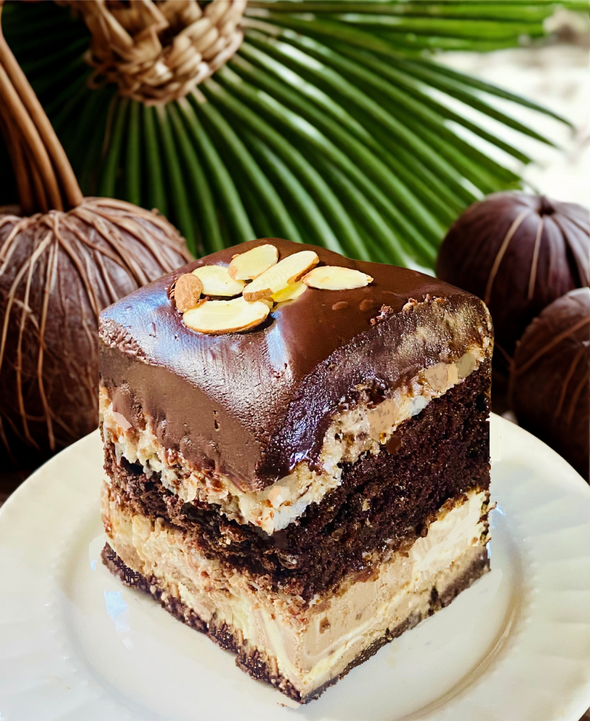 Chocolate Coconut Cheesecake